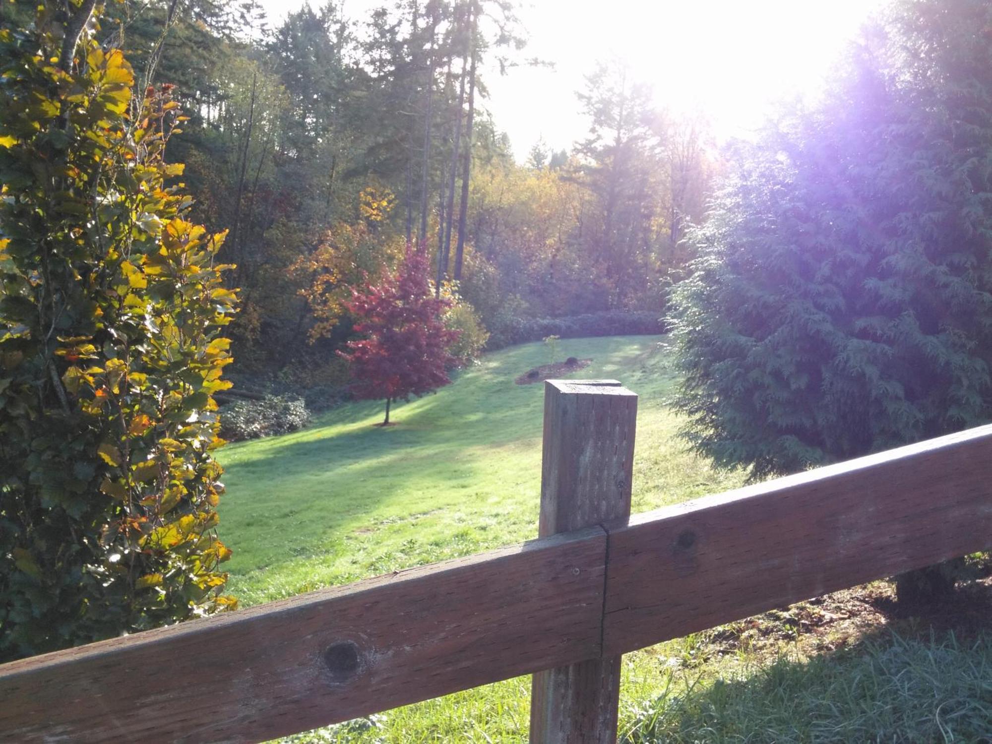 Vancouver Wa Beautiful Apartment ウッドランド エクステリア 写真